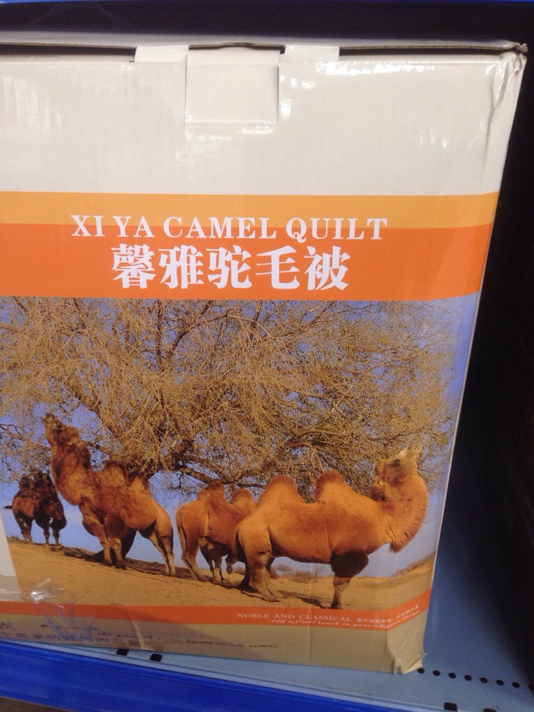 20140112-212323.jpg