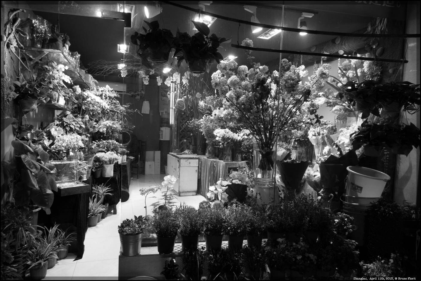 Florist shop