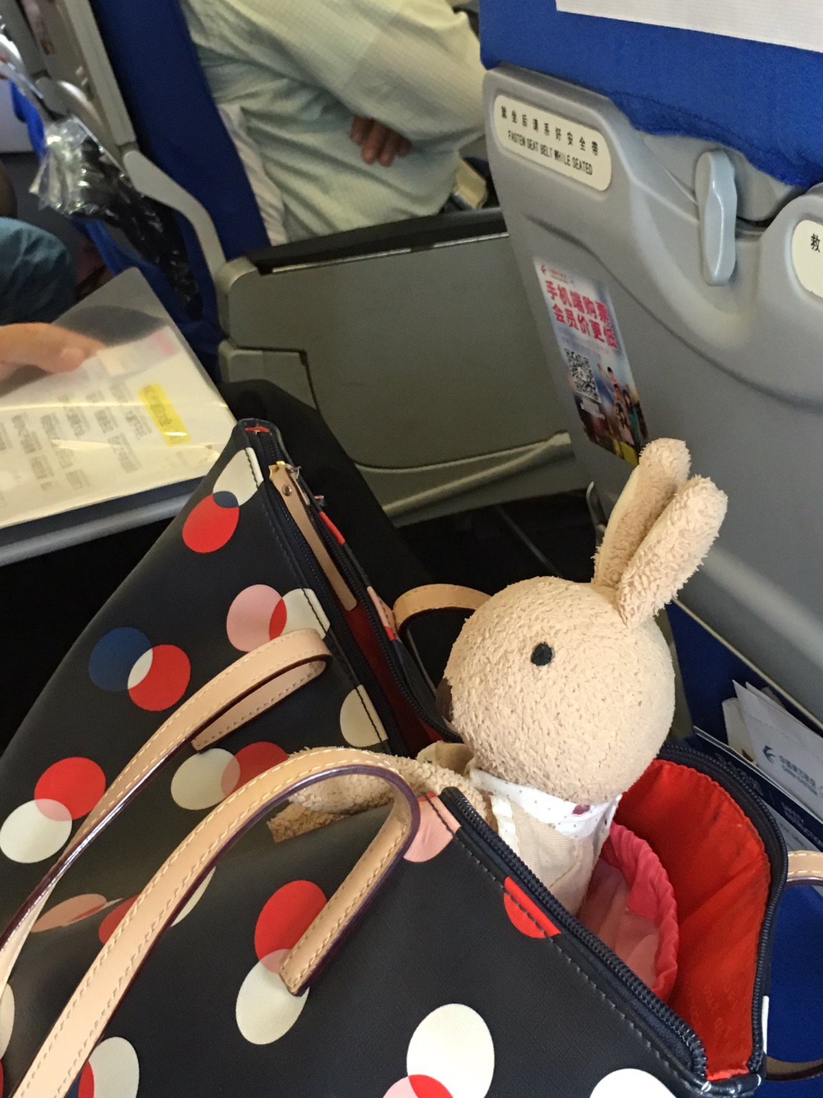 Doudou a bord!