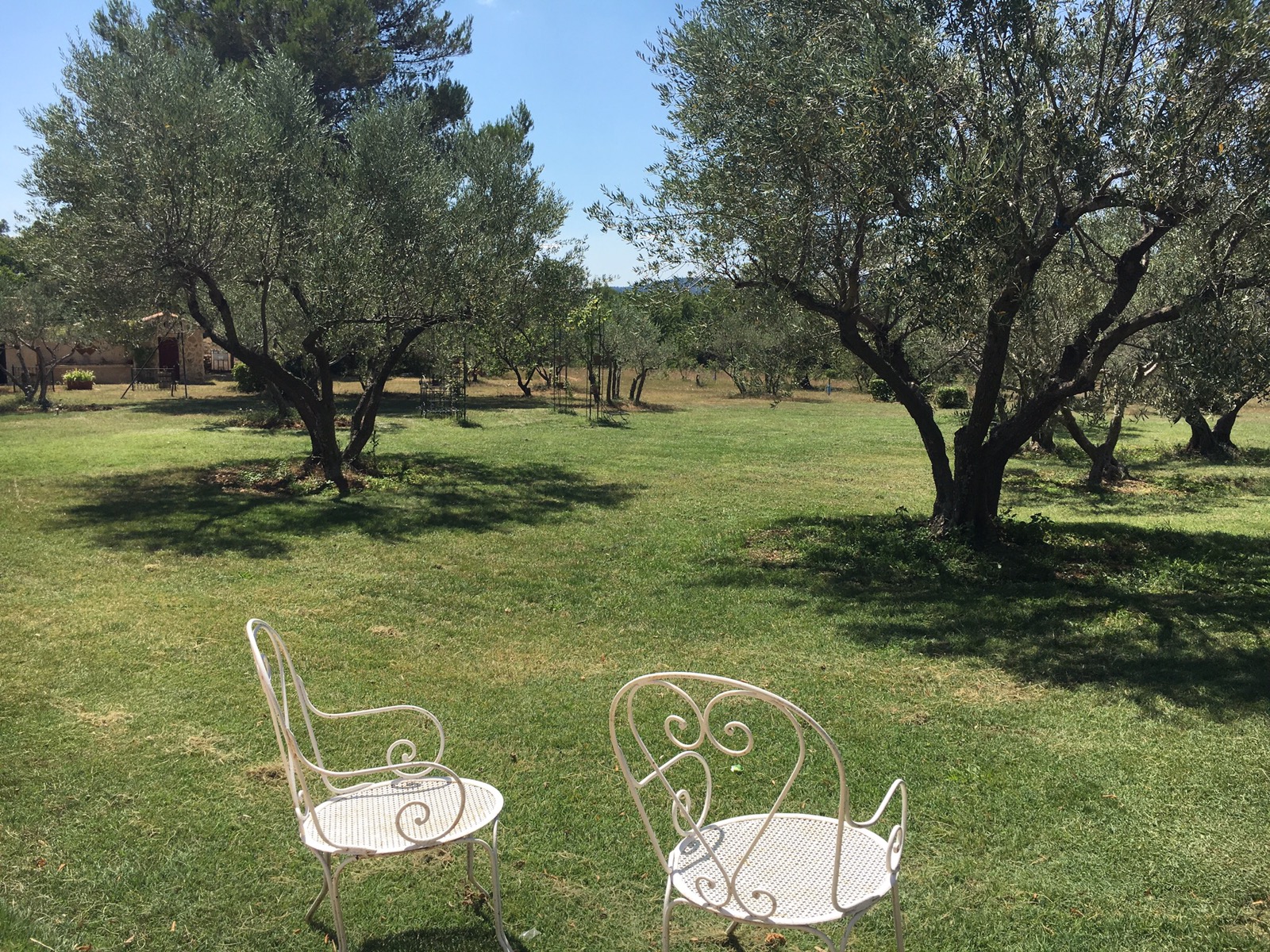 Restaurant dans un mas provencal perdu au milieu des forets et oliviers